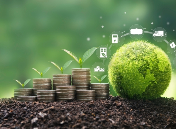 Eco-Friendly Money Habits: Save Money While Saving the Planet